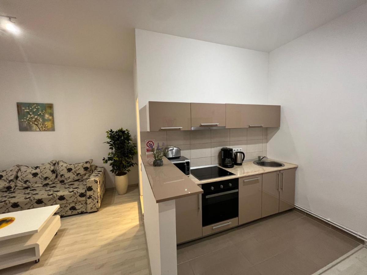 Appartement Apartament Teodora Sibiu Extérieur photo