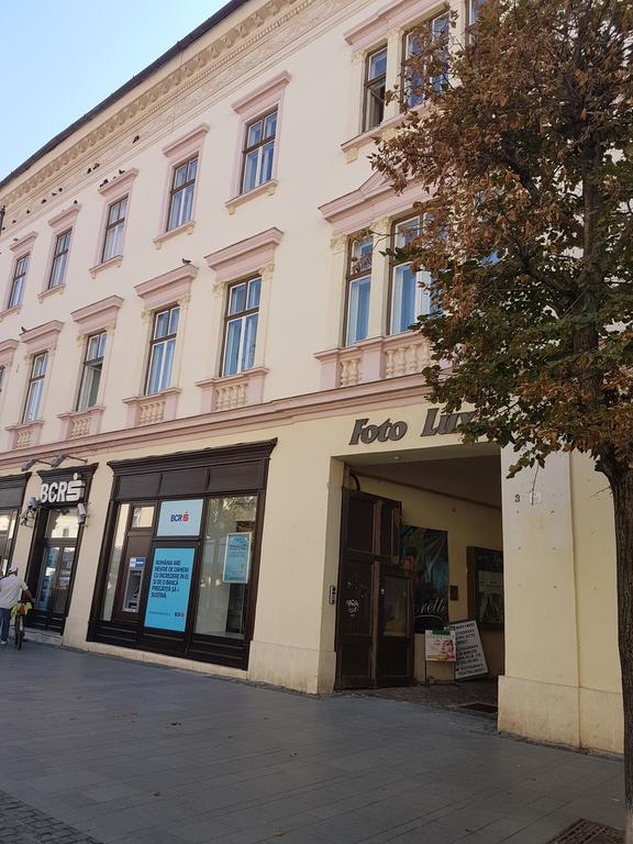 Appartement Apartament Teodora Sibiu Extérieur photo